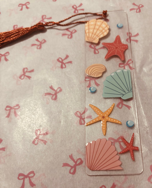 Seashells